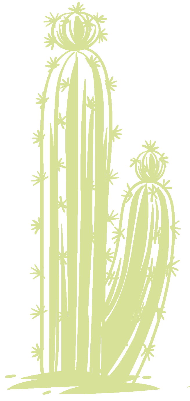 Flor